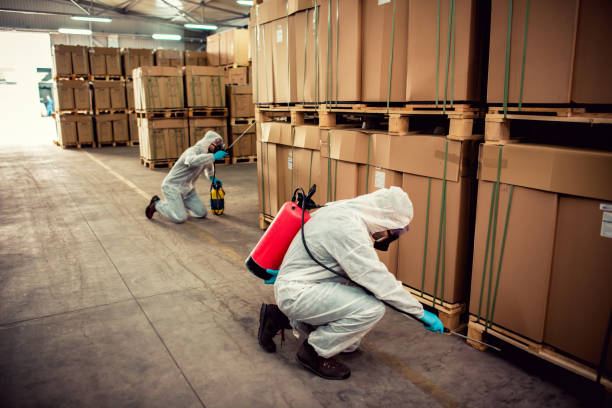 Best Termite Control Services  in El Valle De Arroyo Seco, NM
