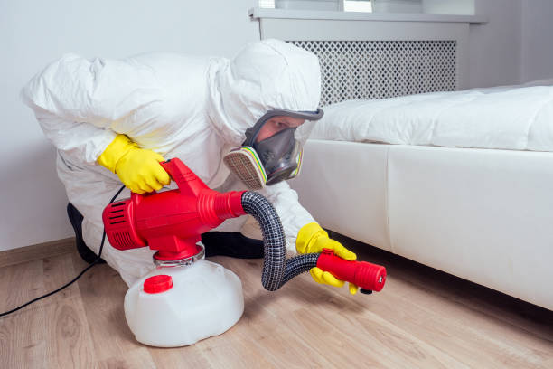 Best Residential Pest Control  in El Valle De Arroyo Seco, NM